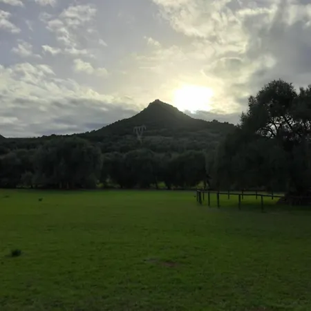 Maison d'hôtes Casa Muscas