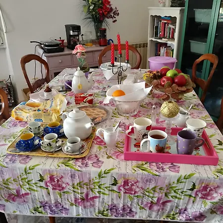 Pensionat Casa Muscas *